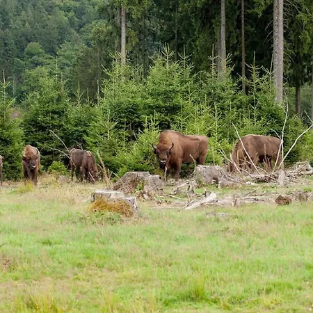In Kierspe, Sauerland, Cleaning Included *