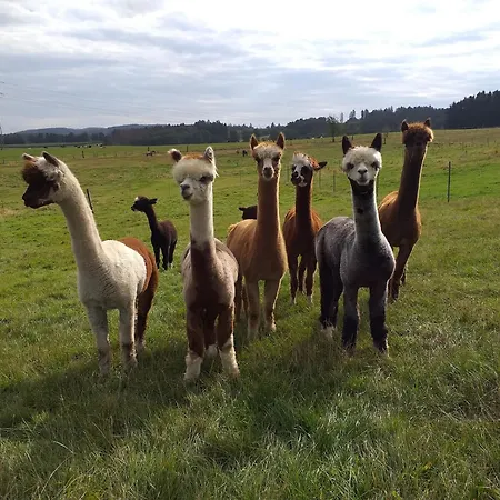 In Kierspe, Sauerland, Cleaning Included *